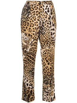 Roberto Cavalli: Короткие брюки 