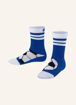 Falke: Чёрные носки 