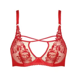 Agent Provocateur: Красный бюстгальтер 