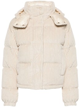 Moncler: Пуховик  Daos