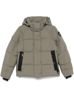 Canada Goose: Зелёный пуховик 