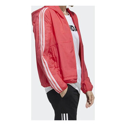 Adidas: Куртка с принтом 