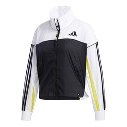Adidas: Спортивная куртка 