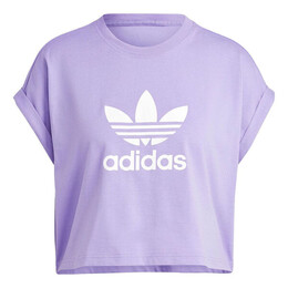 Adidas: Короткая футболка  Adicolor Classics