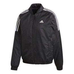Adidas: Зимняя куртка  Essentials
