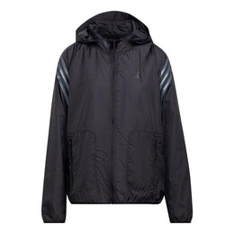 Adidas: Куртка в полоску 