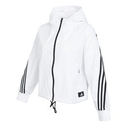 Adidas: Спортивная куртка 