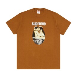 Supreme: Светлая футболка 