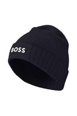 BOSS: Шапка 