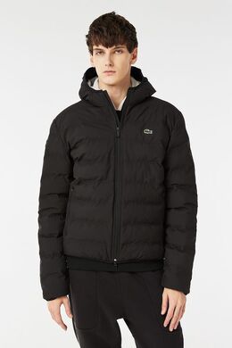 Lacoste: Зимняя куртка 