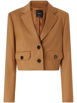 Pinko: Коричневая куртка 