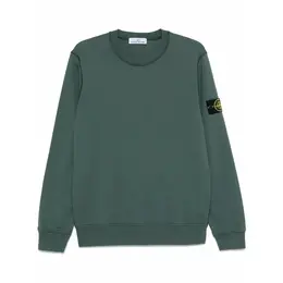 Stone Island: Зелёная толстовка 