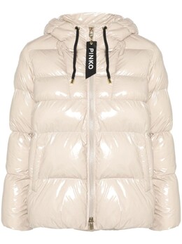 Pinko: Зимняя куртка 