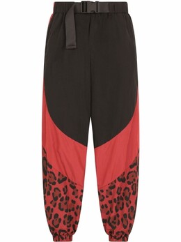 Dolce & Gabbana: Брюки с леопардовым принтом 