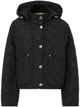 Burberry: Стёганый пуховик 
