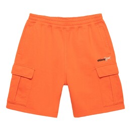 Stussy: Флисовые шорты 