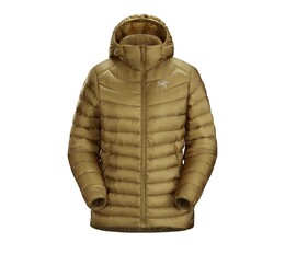 Arcteryx: Пуховик с капюшоном 