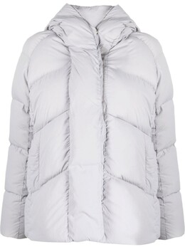 Canada Goose: Серый пуховик 