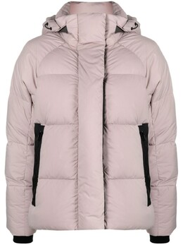 Canada Goose: Розовый пуховик 
