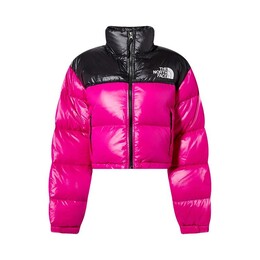 The North Face: Короткая куртка  Nuptse