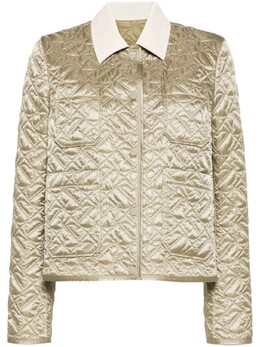 Moncler: Стёганые куртка 