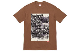 Supreme: Футболка из шерсти 