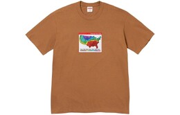 Supreme: Коричневая футболка 