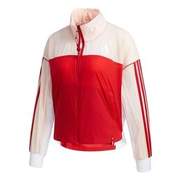 Adidas: Спортивная куртка 