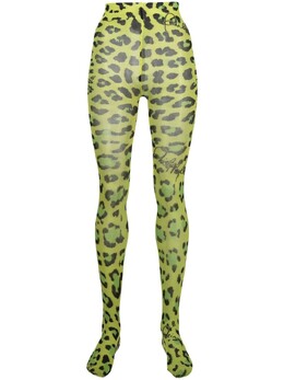 Philipp Plein: Колготки 