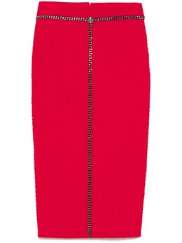 Elisabetta Franchi: Юбка миди 