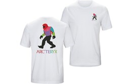 Arcteryx: Чёрная футболка 