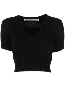 Alexander Wang: Короткий топ 