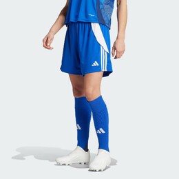 Adidas: Голубые шорты 