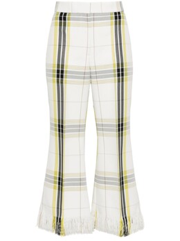 MSGM: Короткие брюки 