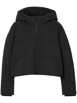Burberry: Короткая куртка 