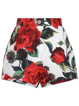 Dolce & Gabbana: Шорты с принтом 