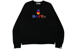 A BATHING APE: Тёмная толстовка 