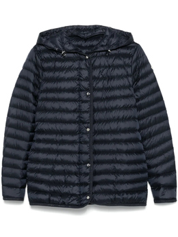 Moncler: Синий пуховик 