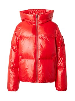 Tommy Hilfiger: Зимний пуховик 
