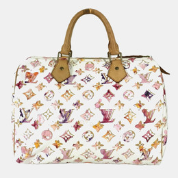 Louis Vuitton: Многоцветная сумка  Speedy 30