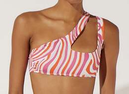 Solid & Striped: Купальник с принтом зебры 