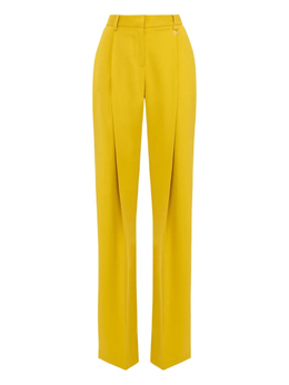 Elisabetta Franchi: Жёлтые брюки 