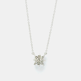Tiffany & Co.: Подвеска 