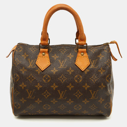 Louis Vuitton: Коричневая сумка  Speedy 25