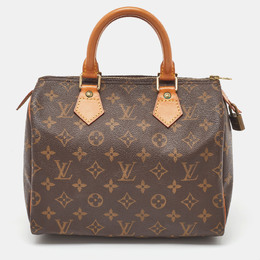 Louis Vuitton: Коричневая сумка  Speedy 25