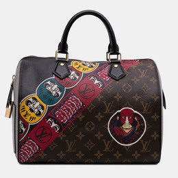 Louis Vuitton: Коричневая сумка  Speedy 30