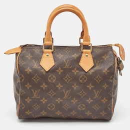 Louis Vuitton: Коричневая сумка  Speedy 25