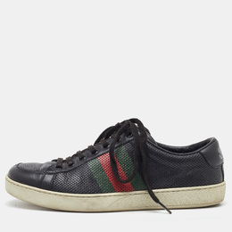 Gucci: Чёрные кроссовки  Web